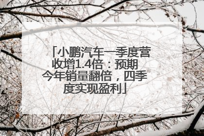 小鹏汽车一季度营收增1.4倍：预期今年销量翻倍，四季度实现盈利